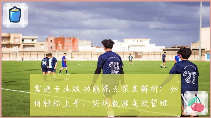 雷速专业版功能亮点深度解析：如何轻松上手，实现数据高效管理