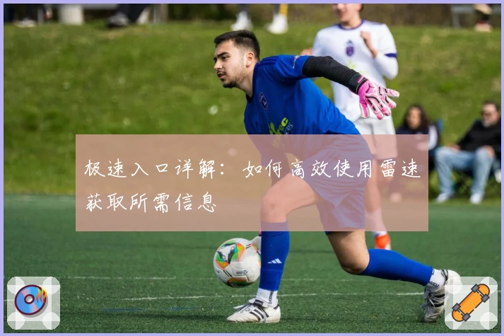 极速入口详解：如何高效使用雷速获取所需信息