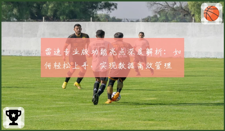 雷速专业版功能亮点深度解析：如何轻松上手，实现数据高效管理